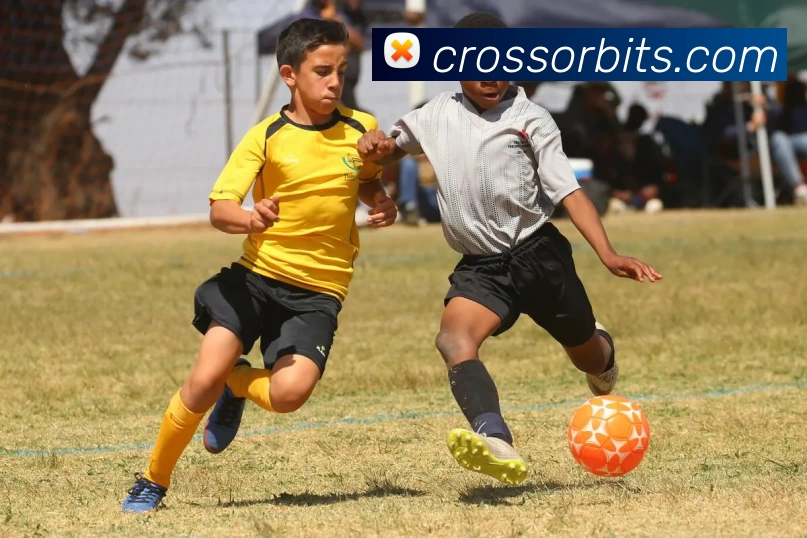 九博体育APP 封面图
